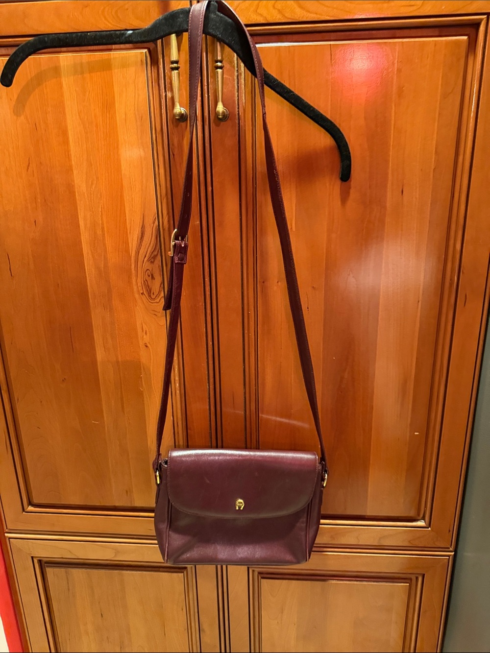 Etienne Aigner Burgundy Leather Crossbody Bag with Gold Tone Hardware - Picture 2 of 7